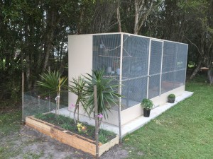 large aviary with birds