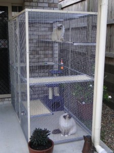 cat enclosures