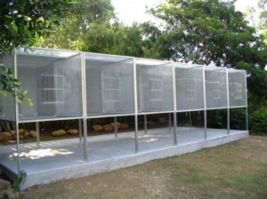 suspended aviaries